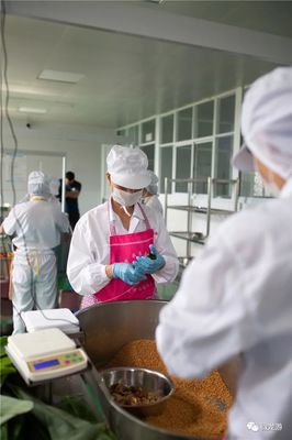 看了就饞!&ldquo;龍游粽&rdquo;亮相浙江衛視~