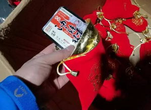 《多彩貴州風》全國巡演 民族藝術的盛宴與舌尖上的山水